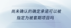 尚未確認的確定承諾可以被指定為被套期項目嗎