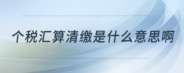 個稅匯算清繳是什么意思啊