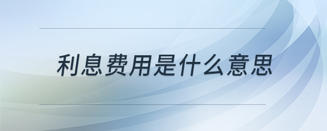 利息費(fèi)用是什么意思 利息費(fèi)用是什么意思