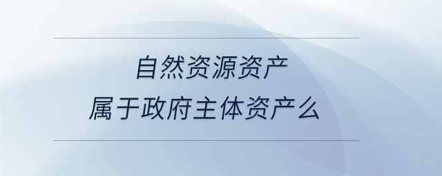自然資源資產屬于政府主體資產么
