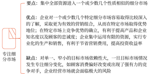 集中性營銷策略