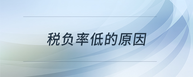 稅負(fù)率低的原因