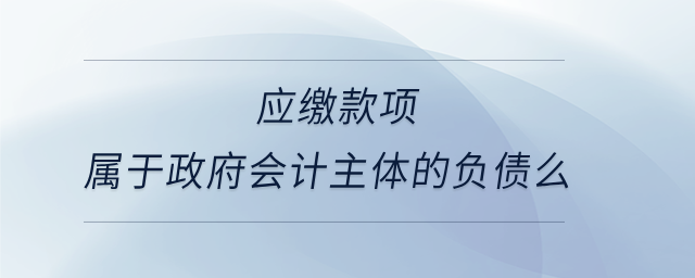 應繳款項屬于政府會計主體的負債么