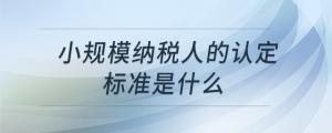 小規(guī)模納稅人的認定標準是什么