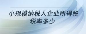 小規(guī)模納稅人企業(yè)所得稅稅率多少