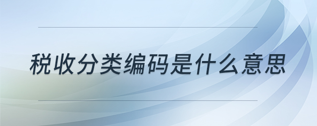 稅收分類(lèi)編碼是什么意思 稅收分類(lèi)編碼是什么意思