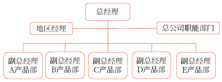 全球性產(chǎn)品分部結(jié)構(gòu) 全球性產(chǎn)品分部結(jié)構(gòu)
