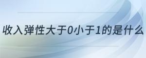 收入彈性大于0小于1的是什么