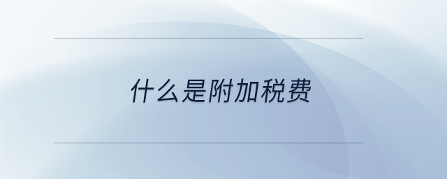 什么是附加稅費 什么是附加稅費