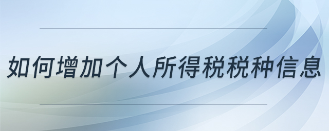如何增加個(gè)人所得稅稅種信息