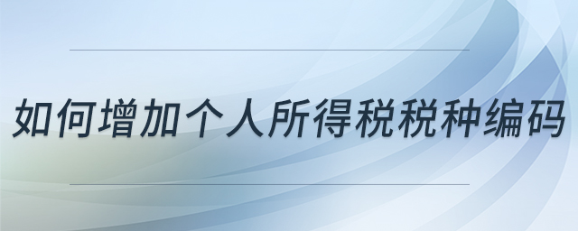 如何增加個(gè)人所得稅稅種編碼 如何增加個(gè)人所得稅稅種編碼
