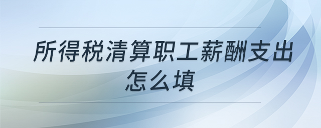 所得稅清算職工薪酬支出怎么填 所得稅清算職工薪酬支出怎么填