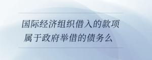 國(guó)際經(jīng)濟(jì)組織借入的款項(xiàng)屬于政府舉借的債務(wù)么