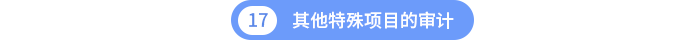 其他特殊項(xiàng)目的審計(jì)