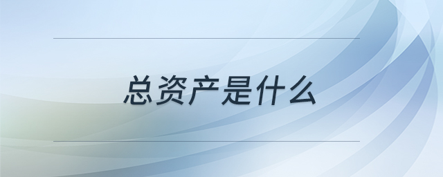 總資產(chǎn)是什么 總資產(chǎn)是什么