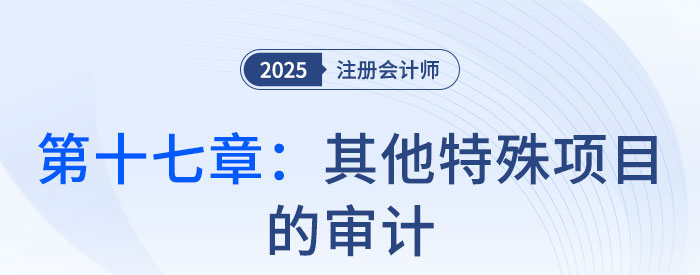 第十七章其他特殊項(xiàng)目的審計(jì)_2025年注會(huì)審計(jì)思維導(dǎo)圖