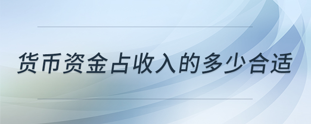 貨幣資金占收入的多少合適