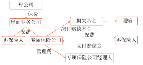 純專業(yè)自保公司的結(jié)構(gòu) 純專業(yè)自保公司的結(jié)構(gòu)