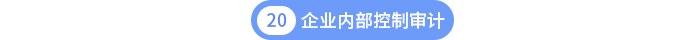 第二十章企業(yè)內(nèi)部控制審計(jì)