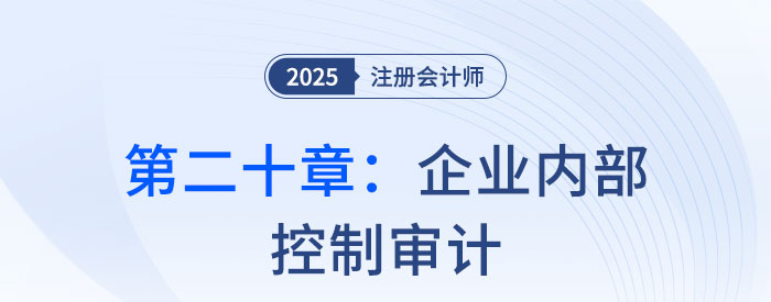 第二十章企業(yè)內(nèi)部控制審計(jì)_2025年注會(huì)審計(jì)習(xí)題隨章演練 第二十章企業(yè)內(nèi)部控制審計(jì)_2025年注會(huì)審計(jì)習(xí)題隨章演練