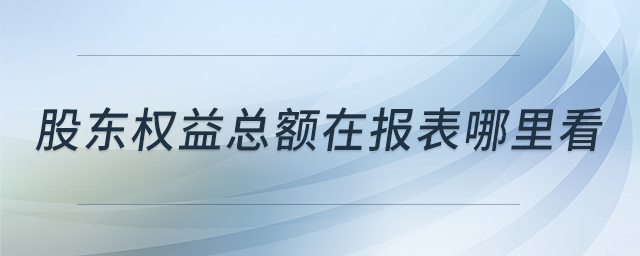 股東權(quán)益總額在報(bào)表哪里看 股東權(quán)益總額在報(bào)表哪里看