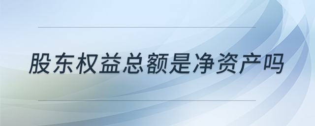股東權(quán)益總額是凈資產(chǎn)嗎