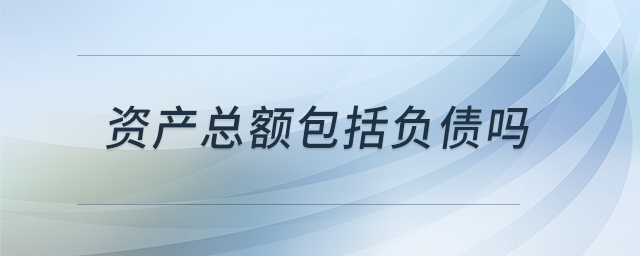 資產(chǎn)總額包括負(fù)債嗎