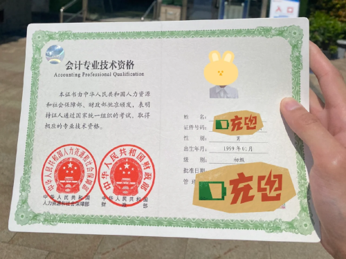 初級會(huì)計(jì)師