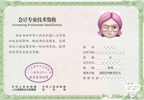 初級會(huì)計(jì)職稱
