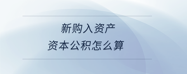 新購入資產(chǎn)資本公積怎么算