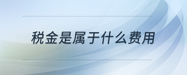 稅金是屬于什么費用 稅金是屬于什么費用