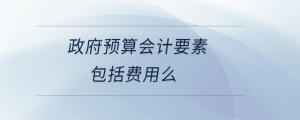 政府預(yù)算會計要素包括費用么