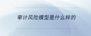 審計(jì)風(fēng)險(xiǎn)模型是什么樣的
