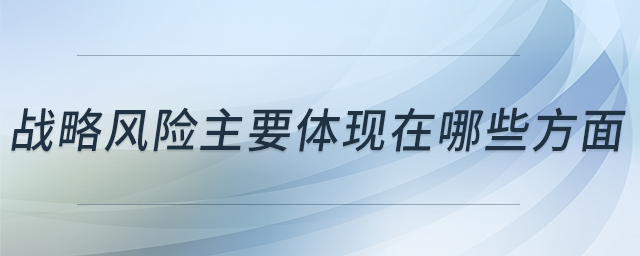 戰(zhàn)略風(fēng)險主要體現(xiàn)在哪些方面