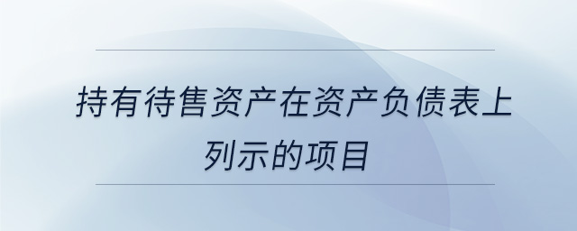 持有待售資產(chǎn)在資產(chǎn)負(fù)債表上列示的項目