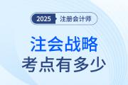 注冊(cè)會(huì)計(jì)師戰(zhàn)略考點(diǎn)有多少？