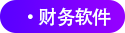 財(cái)務(wù)軟件