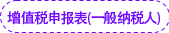 增值稅申報(bào)表（一般納稅人）