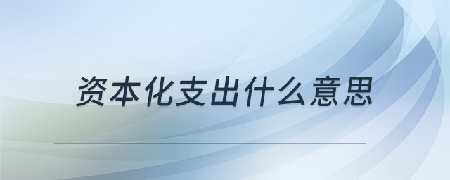 資本化支出什么意思 資本化支出什么意思