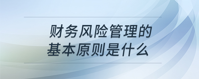 財務(wù)風(fēng)險管理的基本原則是什么
