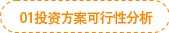 01投資方案可行性分析 01投資方案可行性分析