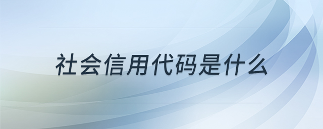 社會(huì)信用代碼是什么