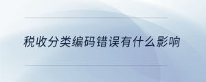 稅收分類編碼錯(cuò)誤有什么影響