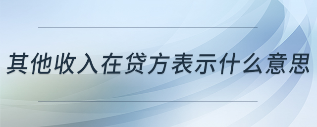 其他收入在貸方表示什么意思