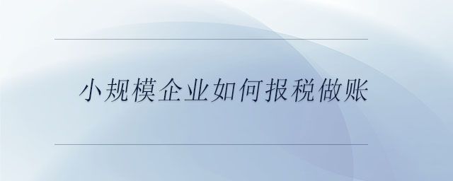 小規(guī)模企業(yè)如何報(bào)稅做賬