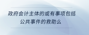 政府會計主體的或有事項包括公共事件的救助么