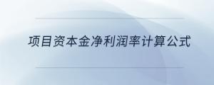 項目資本金凈利潤率計算公式