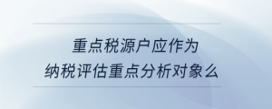 重點(diǎn)稅源戶應(yīng)作為納稅評(píng)估重點(diǎn)分析對(duì)象么