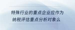 特殊行業(yè)的重點(diǎn)企業(yè)應(yīng)作為納稅評(píng)估重點(diǎn)分析對(duì)象么