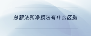 總額法和凈額法有什么區(qū)別